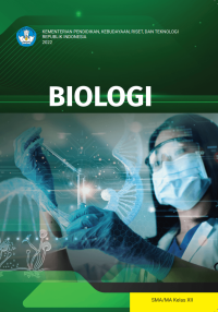 Image of Biologi XII Kur Mer